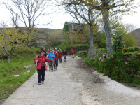 D080b5aae8b03462e63dba310308027b