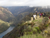 D0a6defcb2d3105d4262f0a2fecf7340