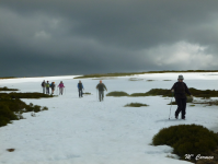 D0ca1386d960a0d9d8dd066fe152396e