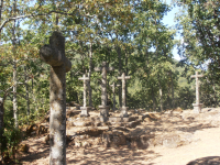 D188f452c48d460195e0d334ac254425