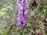 D27660da0a40d6e94af4462b59971335