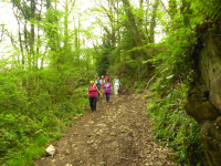 D35cc8fc0633013b9c7dbb40778b10ec