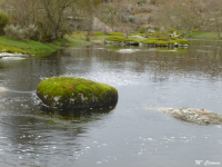 D3d38274ca87cfb5dc47e7bb28718aab