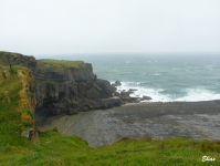 D3d7cd413aa05a7fc514a83f6b43fdb2