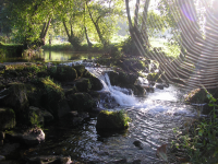 D44ec64781a9eb7419beb6c5897ecb28