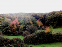 D47dd2c5854cc7d5bccbea220e439117