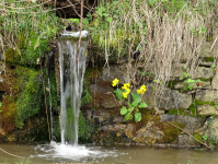 D54c35f74b213f05693530ac9ac0f1f9