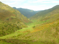 D64d6902fef3dbf5cf2294d4ae8dcb07