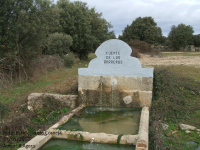 D6676587b1274733aa11e096ebb27446