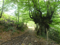 D6c80f83196ee46b0fb8619052cf7acc