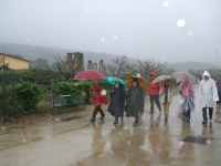 D6e2670356d2971207a54586a9d8c648