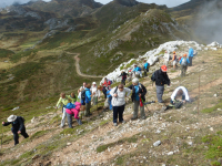 D70cc1c434f6f3a26fce77f00c7d77f5