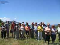 D74cf0f325355863e976d64b0e38fe95