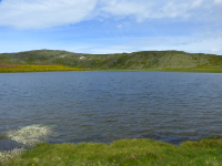 D849425569080d6cfee6c0c4e0867094