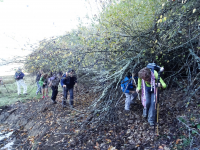 D98f062a3efe94c9a84493b87b79325f