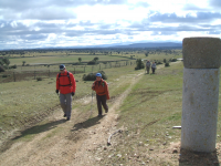 Ddac114e52a04751ebbe94abc9521ad5