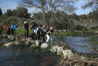 De1565da478124fdd3b1022670330a07