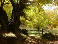 De22cce2f31763500de52166fdca2f70