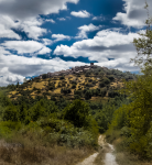 De390c2fec493ad15cf0b15e5e46aa97