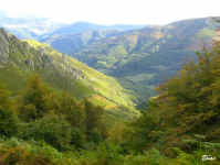 Df3732f43b04bb7a1f7b38f93001d18a