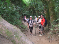 Df6aef8fa2bea0074247bc1c81172fa2