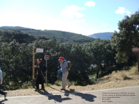 E00b90d15377ee39f175932ca485914c