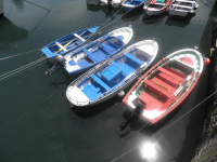 E0d5962e52f791378d24e76c4aad7084