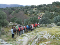 E0ec154765043652c5e93173d13d5c49