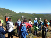 E1fc51d9707731766294f90e201f4fe2