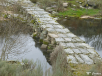 E2766cabb29f21956f50627f886cf612