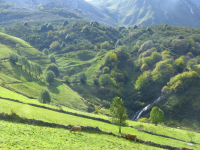 E28531bc850e9914cf2e6798159e4015