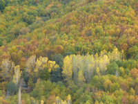 E2a97104e738a65d706a0f1d579b50a6