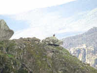 E4f12beced7aaccae00e6fce19df0711