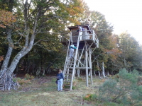 E523aaa5b283de391f0945d12ab278d7