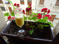 E54129ec502ea8a621b170821693e0aa