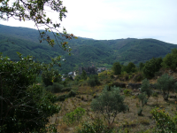 E56bedeec2dc99f798fb18d2c12eef27