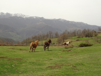 E60d357edb8878ca6f7311fe2987eff9