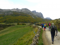 E7e6d210970fcc8d4466af0580461b52