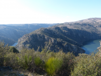 E956f232c62dc20ccb38882cc70bd3b7