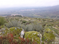 Ea3214ecfb50e3b6d8accf73d9f362cb