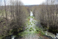 Ea4deba8b082efde2acfd724a71bd901