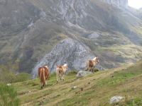 Ec13ae918cba9677dae8292d598e4390