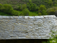 Ec3fd072eecb3eece78c8a1ead6be21e