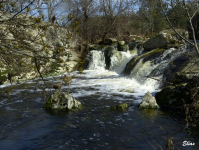 Ecaa54ce9f253972af27520430a081a4