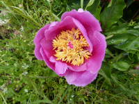 Eccded26ef9235c1a6bc7e719345cf72