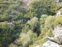 Ecd42cc9744e5b5c1ef1bea5aa60c36b