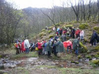 Ece76aa105ed354b0cf2bbc777567783