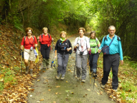 Ecec30de39515cf1a2774fd029bc5654