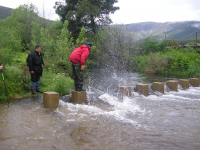 Ef16c0f0615d17caab7405552930c656