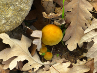 Efc76691d305b303771ad5ab3a05b337